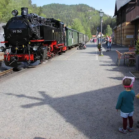 Mit Sauna -grussschinner Umgebindehaus- Zittauer Gebirge 別荘 *